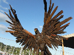 Waipu eagle sculpture-829